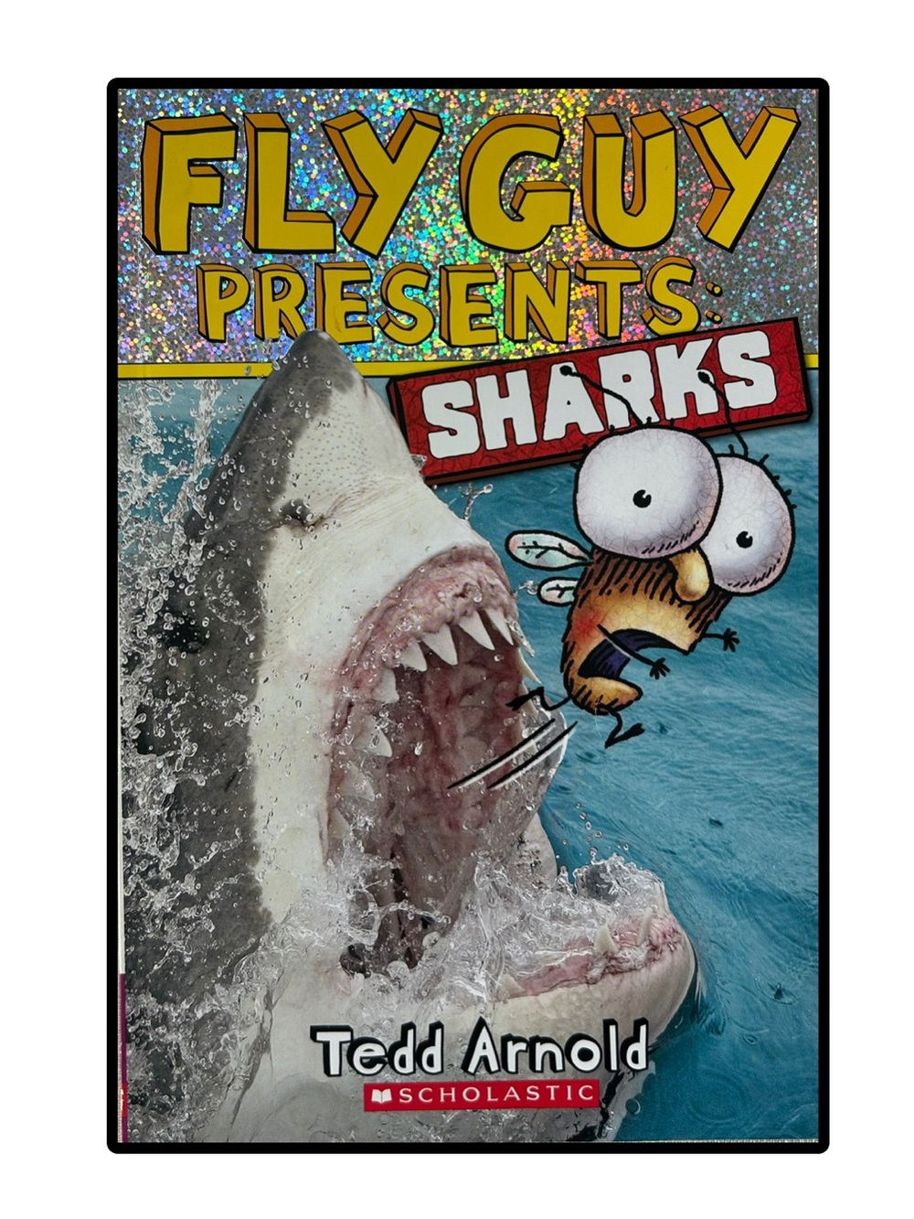 BUNDLE & SAVE 🦈Fly Guy Presents: Sharks by Tedd Arnold